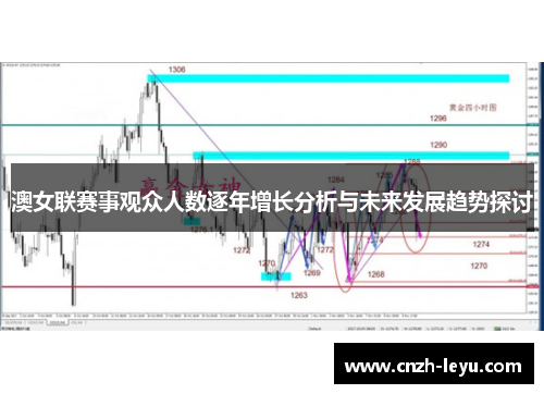 澳女联赛事观众人数逐年增长分析与未来发展趋势探讨