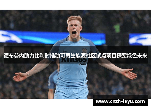 德布劳内助力比利时推动可再生能源社区试点项目探索绿色未来