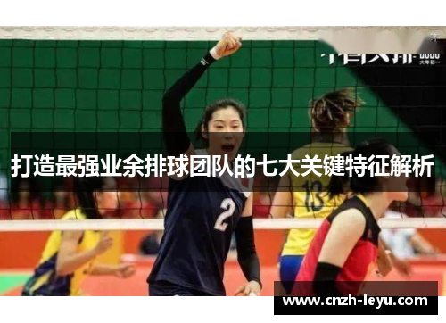 打造最强业余排球团队的七大关键特征解析