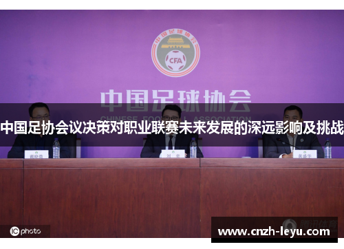 中国足协会议决策对职业联赛未来发展的深远影响及挑战
