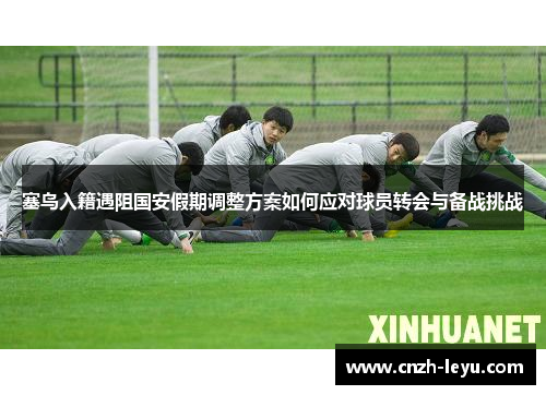 塞鸟入籍遇阻国安假期调整方案如何应对球员转会与备战挑战