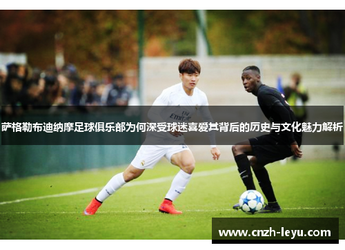 萨格勒布迪纳摩足球俱乐部为何深受球迷喜爱其背后的历史与文化魅力解析