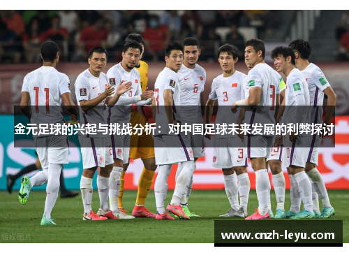 金元足球的兴起与挑战分析：对中国足球未来发展的利弊探讨